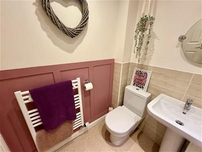 Picture 20